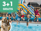👉 Léto v plném proudu: Využijte nabídku 3+1 noc zdarma a ušetřete! 🤩